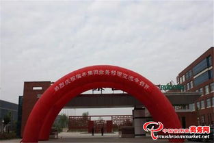 瑞冬集團成功舉辦業(yè)務(wù)經(jīng)理交流會，以拳頭產(chǎn)品與核心研制能力引領(lǐng)行業(yè)新風(fēng)向